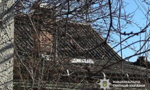 Нікопольщині