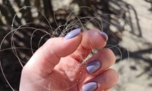 Нікопольщину 2