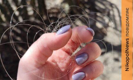 Нікопольщину 2