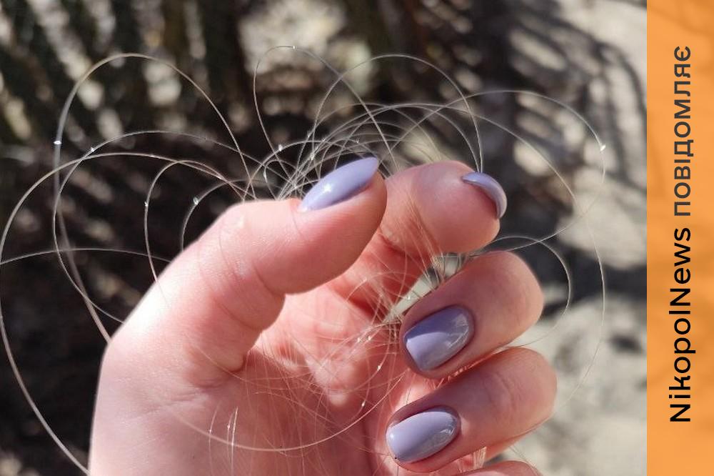 Застосовують для ураження техніки та цілей у прифронтових громадах: Нікопольщину ворог атакує FPV-дронами на оптоволоконному керуванні - соцмережі (відео) 1 Нікопольщину 2