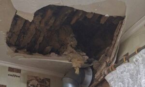 Нікопольщину 9