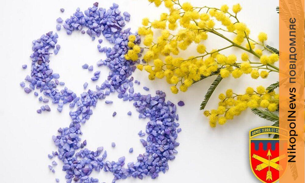 Нікопольської бригади