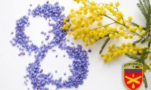 Нікопольської бригади