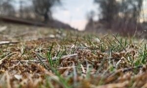 Погода у Нікополі