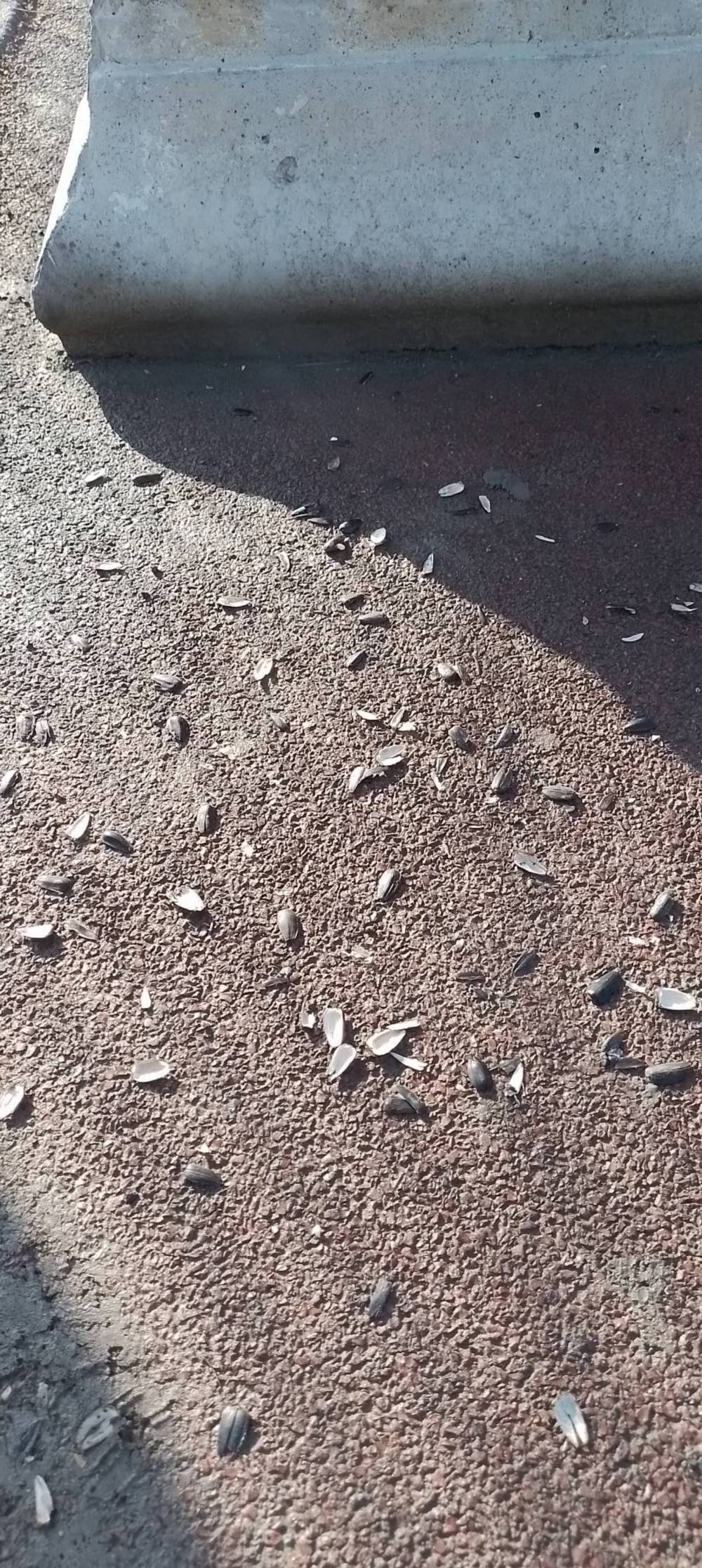 Томаківки 3 Томаківки 3