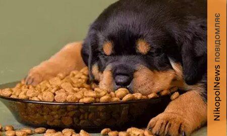 ВПО Нікополя 2