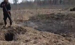 «Вибух - і поле навколо притулку загорілося»: про небезпечну подію у Нікополі розповіла волонтерка (відео)