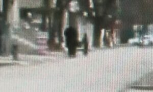 Ще одне відео удару російського БпЛА по жінці і дитині у Нікополі