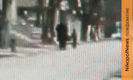 Ще одне відео удару російського БпЛА по жінці і дитині у Нікополі