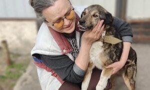 Неймовірно щемлива історія з Нікополя: пес двічі втратив дім через обстріли і був поранений, але врешті возз’єднався зі своєю Надією (відео)