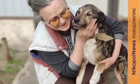 Неймовірно щемлива історія з Нікополя: пес двічі втратив дім через обстріли і був поранений, але врешті возз’єднався зі своєю Надією (відео)