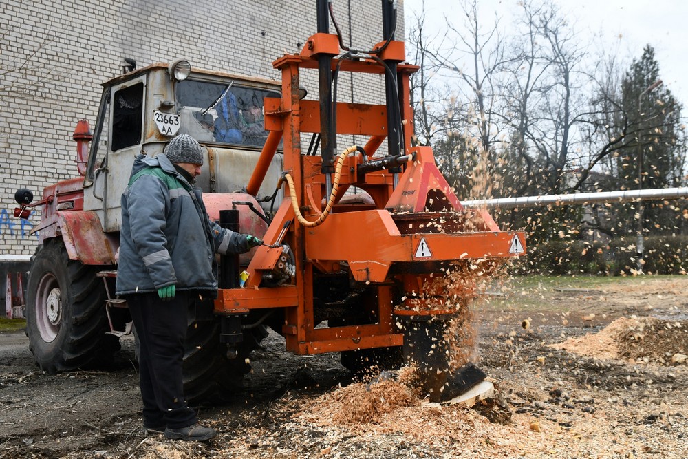 дерева 1 дерева 1
