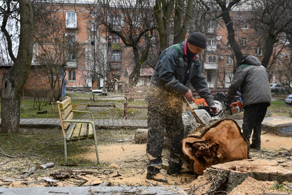 дерева дерева