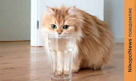 У Нікополі 31 березня відключили воду в одному з районів