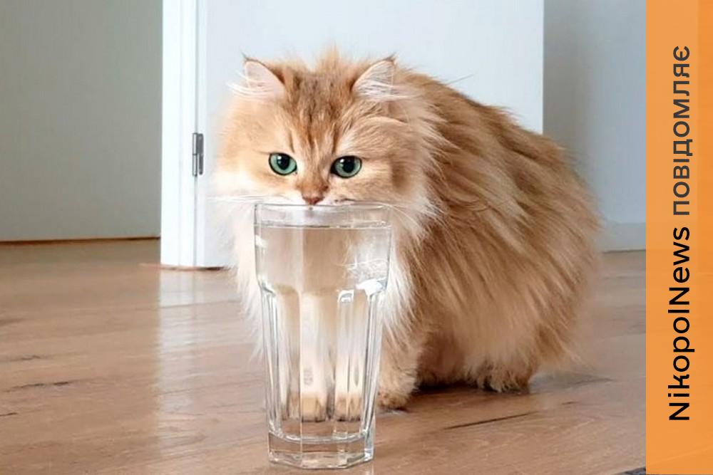 Аварія: у Нікополі 17 березня відключили воду в одному з районів