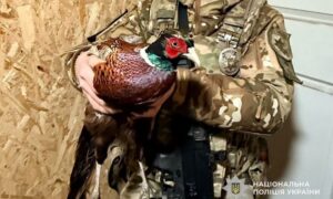 на Нікопольщині врятували дикого птаха (фото) 3