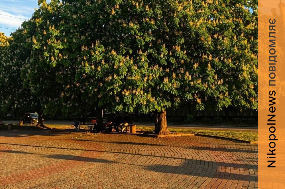 нікопольцями