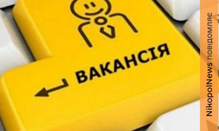 Робота у Нікополі з бронюванням 100%: вакансія у МЖТІ