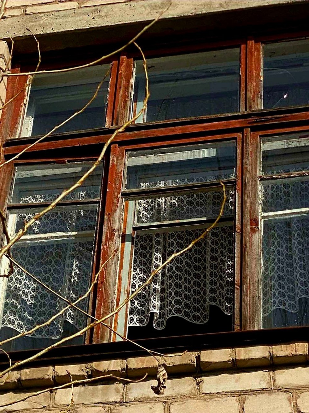 photo 2026 03 16 08 52 17 photo 2026 03 16 08 52 17