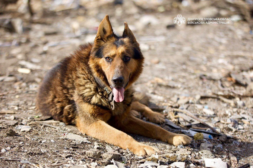 Смертельний ракетний удар по Дніпропетровщині 16 березня: подробиці і фото від прокуратури і ОВА Смертельний ракетний удар по Дніпропетровщині 16 березня: подробиці і фото від прокуратури і ОВА