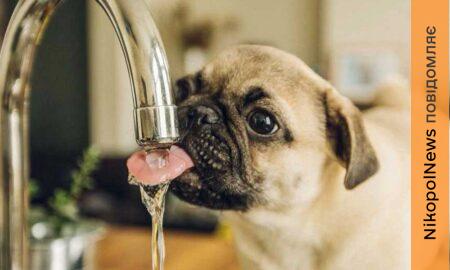 У Марганці 19 березня відключать воду на двох вулицях – перелік