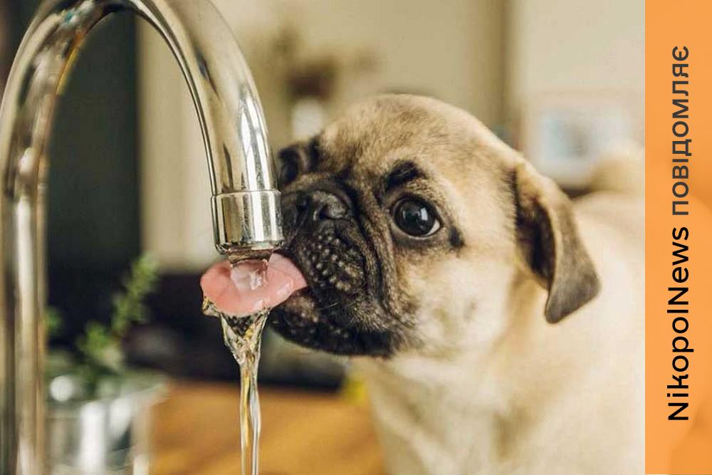 У Марганці 19 березня відключать воду на двох вулицях – перелік