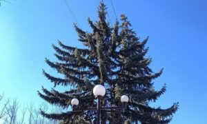 погода у Нікополі 11 березня