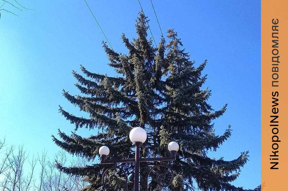 погода у Нікополі 11 березня