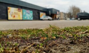 погода у Нікополі 17 березня