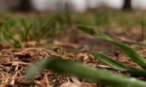 погода у Нікополі 27 березня 2