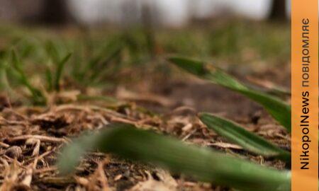 погода у Нікополі 27 березня 2