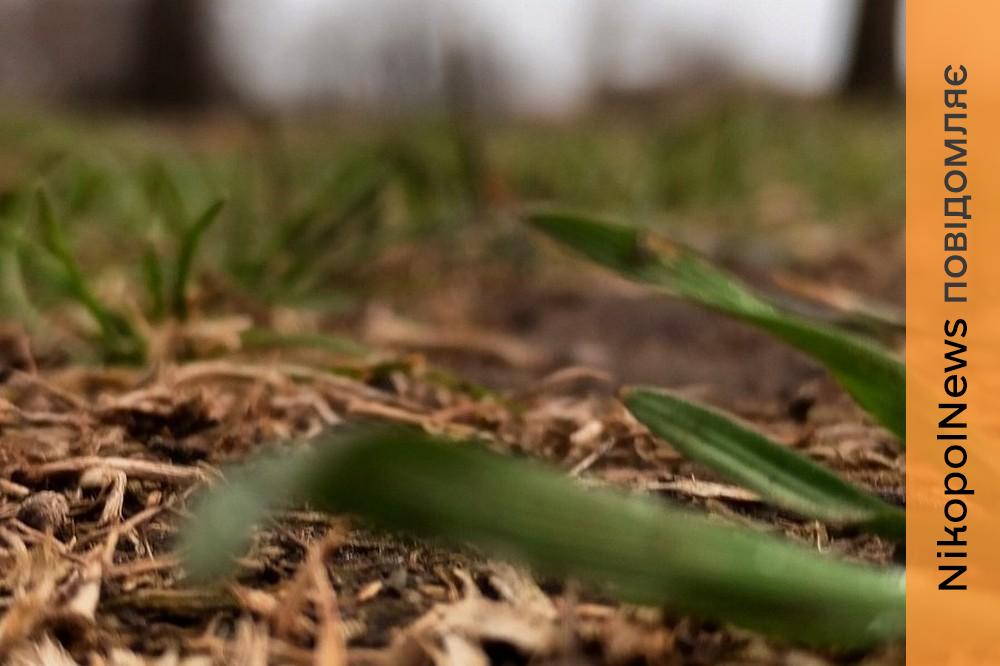 погода у Нікополі 27 березня 2