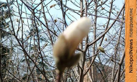 погода у Нікополі 31 березня