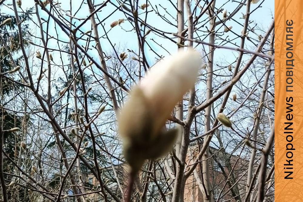 погода у Нікополі 31 березня