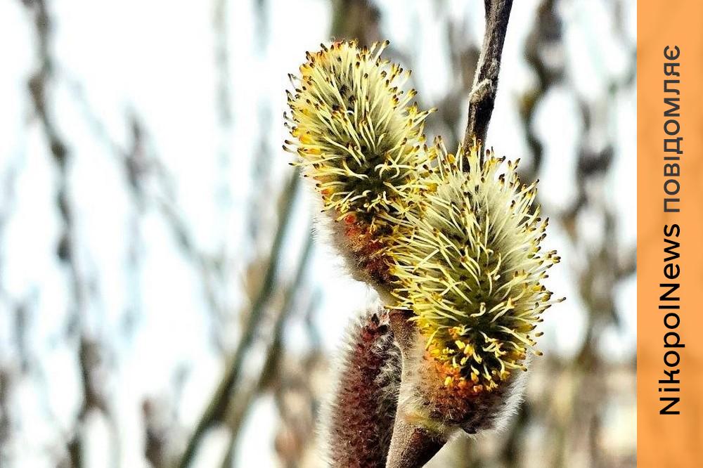 погода у Нікополі