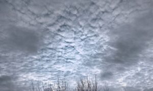 погода у Нікополі 5 березня