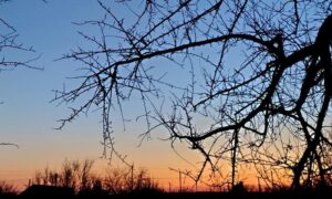 погода у Нікополі 9 березня