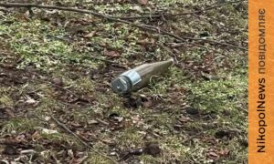 у Марганецькій громаді 2