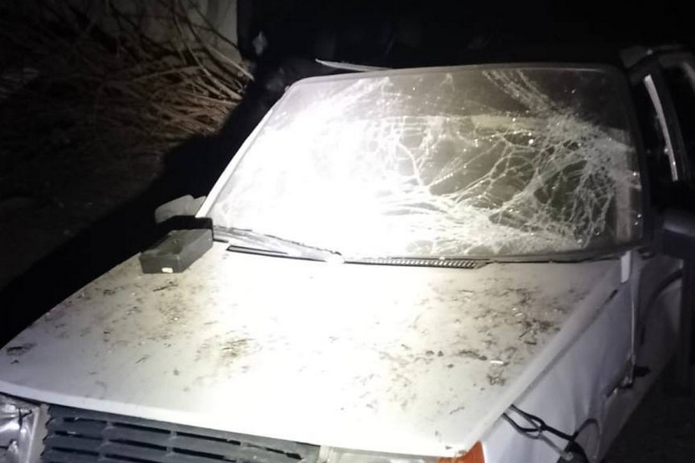 у НІКОПОЛІ 2