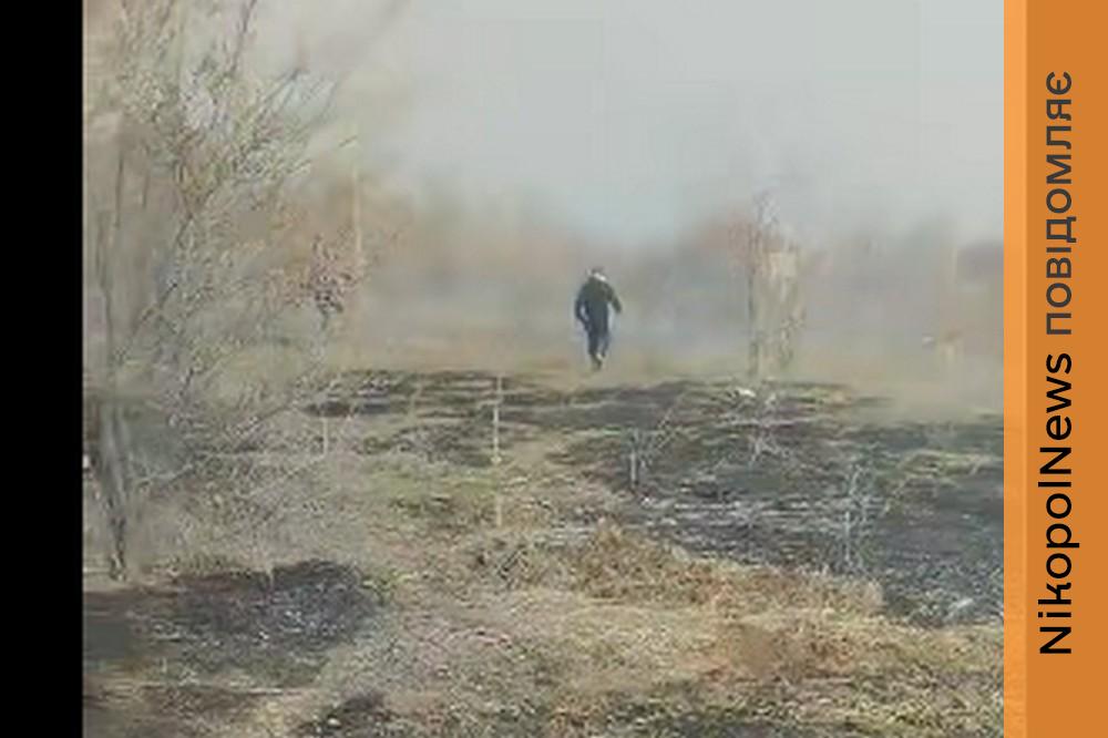 Страшно уявити, що могло і може бути.... Внаслідок обстрілу виникла пожежа біля притулку для тварин у Нікополі (відео) 1 у Нікополі