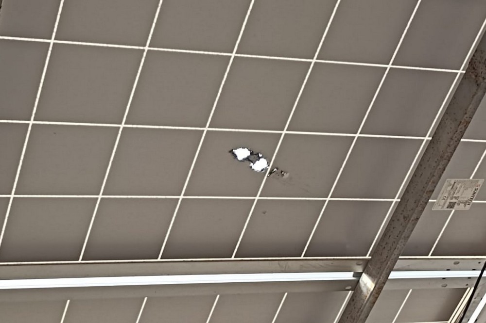 у Нікополі 13