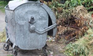 у Нікополі 2