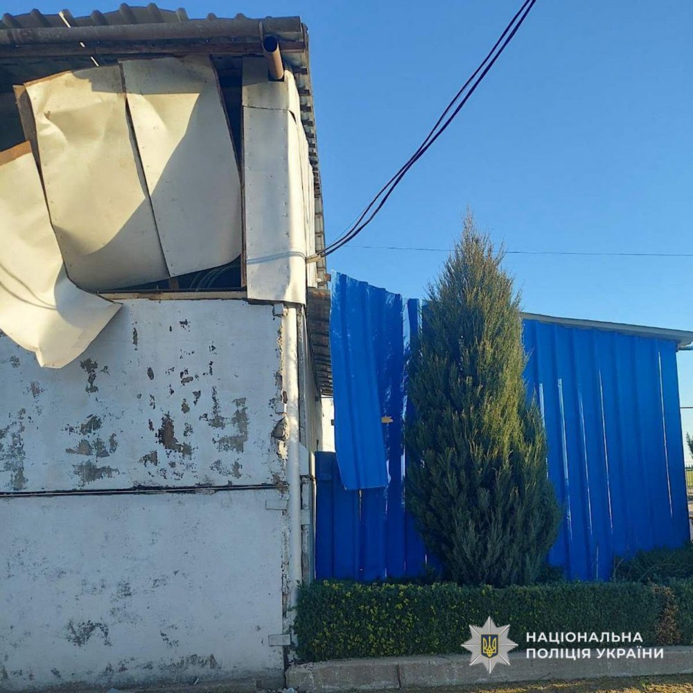 у Нікополі 7