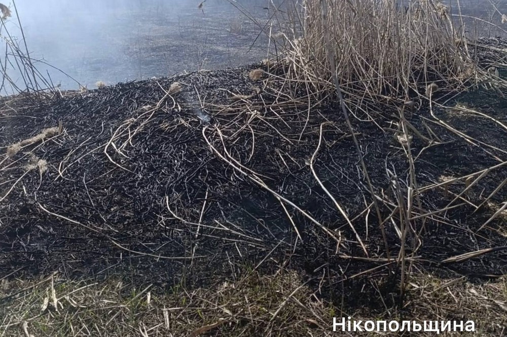 у нікополі 3