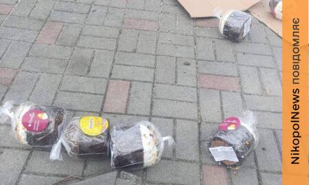 Не до свят… У Нікополі атаковано автівку с Великодніми пасками (фото)