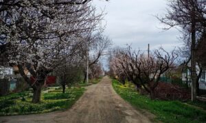 Очікується дощ і до 18 градусів тепла: погода у Нікополі 4 березня