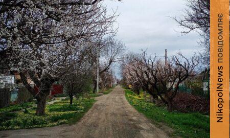 Очікується дощ і до 18 градусів тепла: погода у Нікополі 4 березня