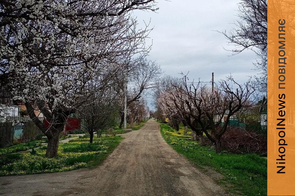 Очікується дощ і до 18 градусів тепла: погода у Нікополі 4 квітня 1 Очікується дощ і до 18 градусів тепла: погода у Нікополі 4 березня