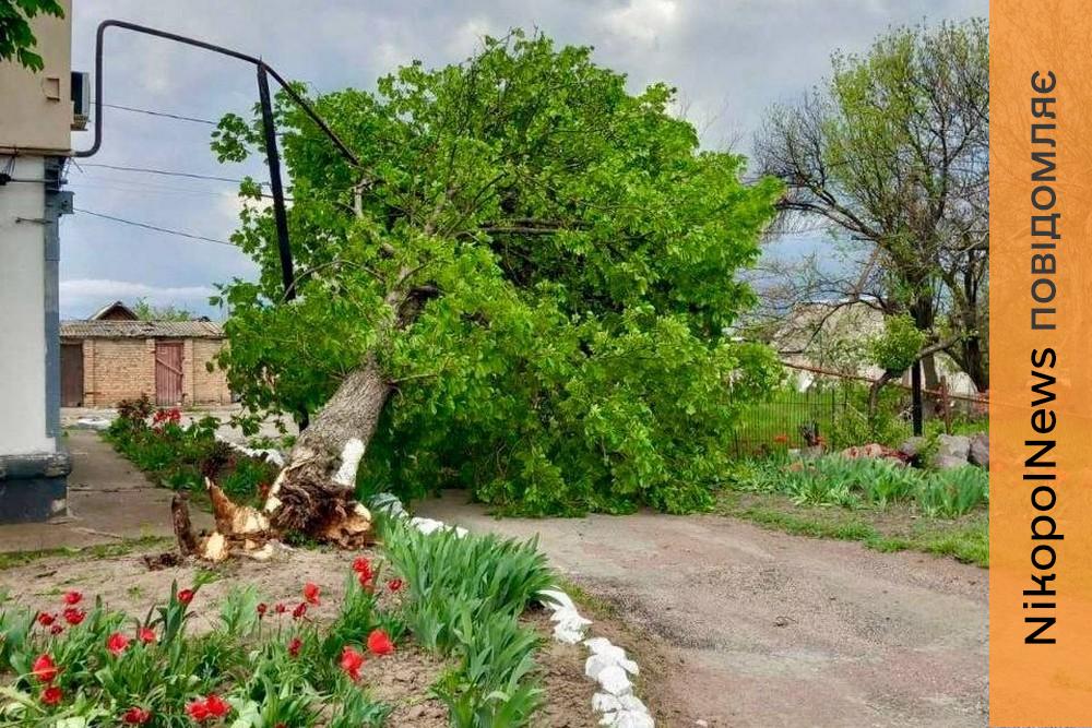 На Дніпропетровщині через шквальні пориви вітру дерева пошкодили газопроводи (фото)