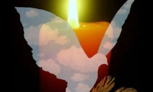 Працювала в лікарні, вкладала душу в садівництво: у Нікополі росіяни вбили 56-річну жінку